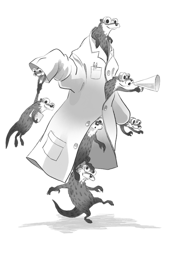 Otter Drawing