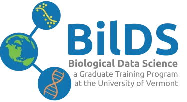 Bilds